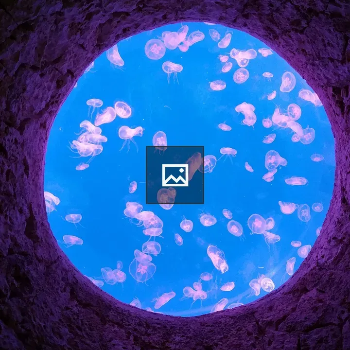 Bioluminescent Jellyfish