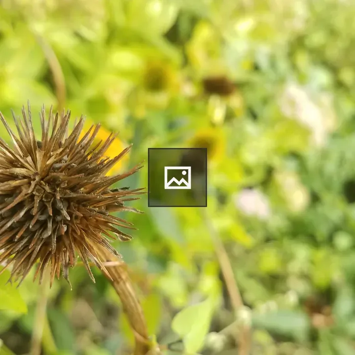 Headless flower