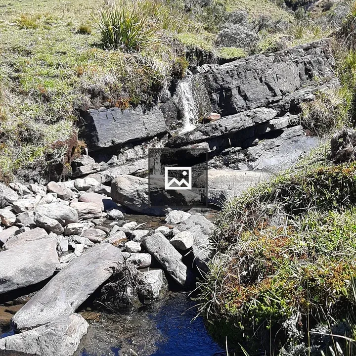 Serene stream over rocks