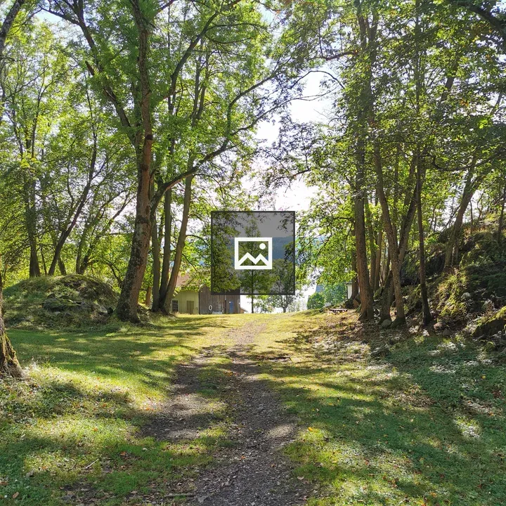 Opening in trees toward house by water