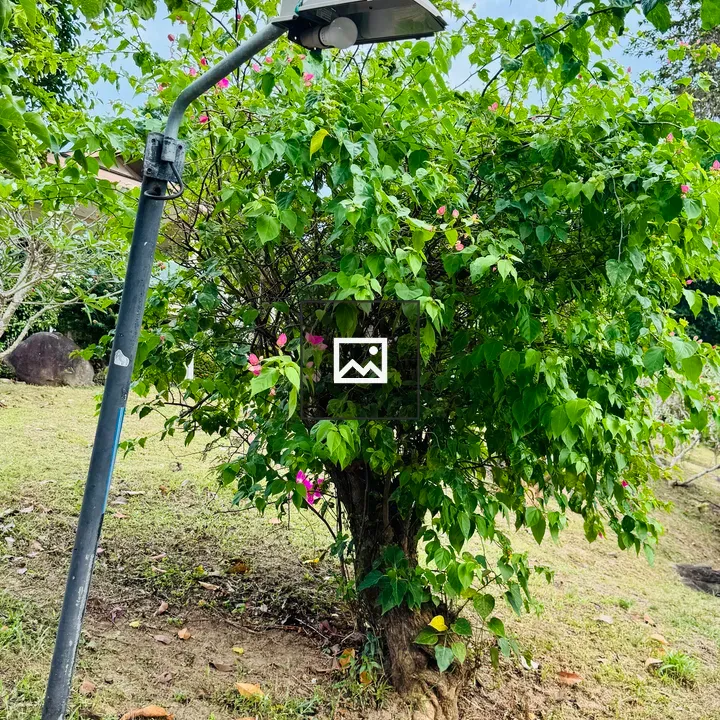 Black street lamp with pink flowers