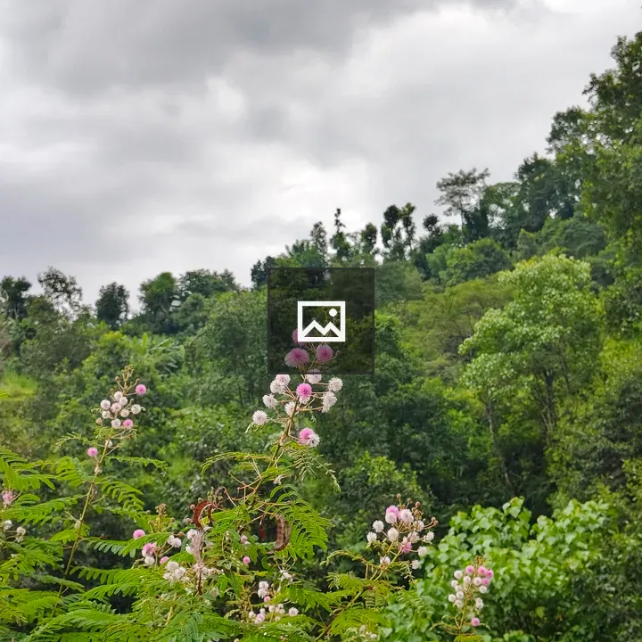 Lush green landscape with pink blossoms