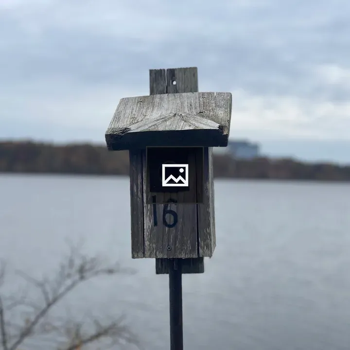 Bird house