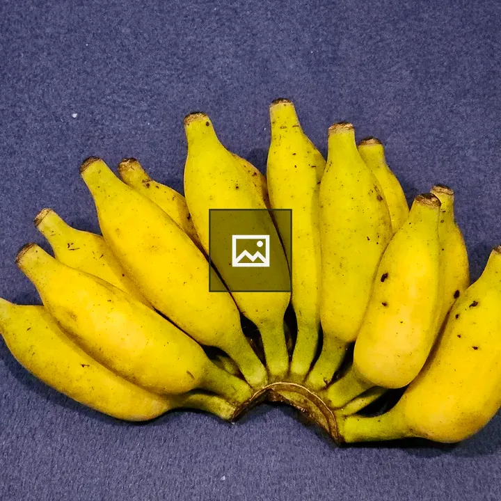 Ripe Njali Poovan Bananas