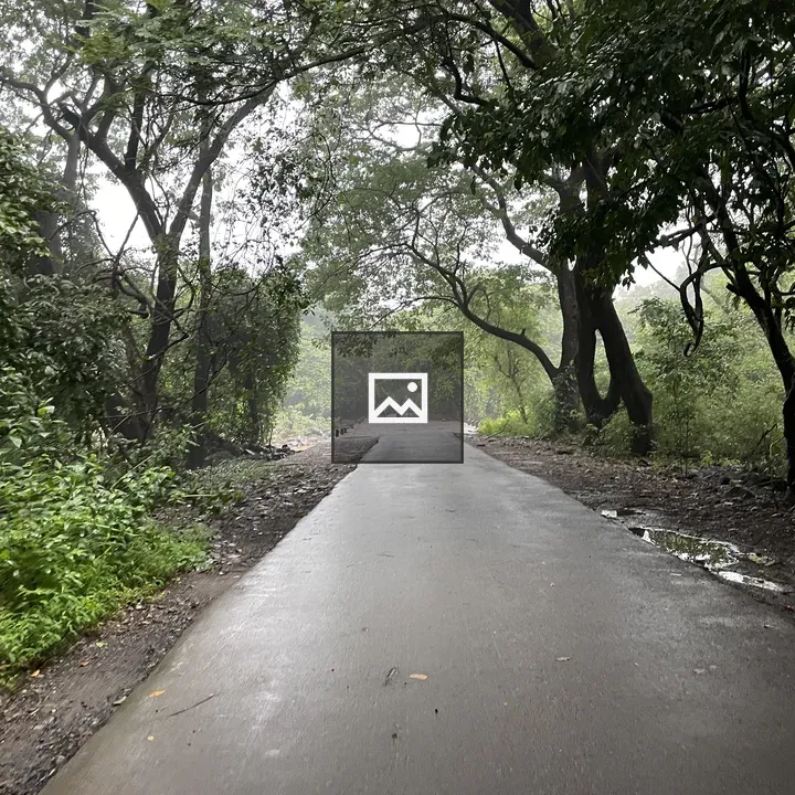 Silent Roads