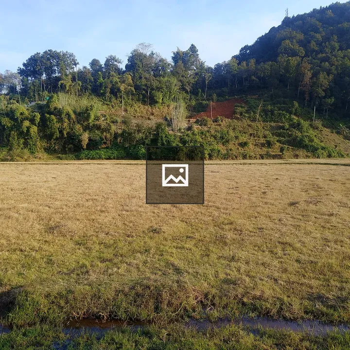 Grassland with Tree-covered Hill