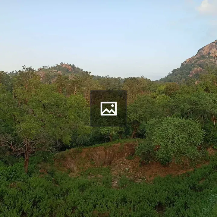 Ambaji forest landscape