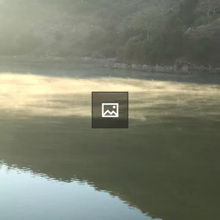 Lake View Scene