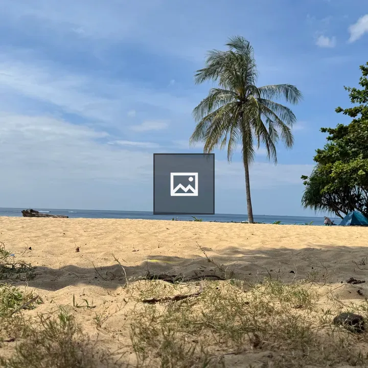 Palm Tree by Blue Sky Beach