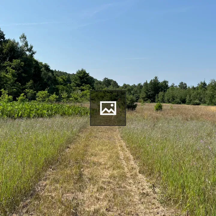Wide mown path in grassy field