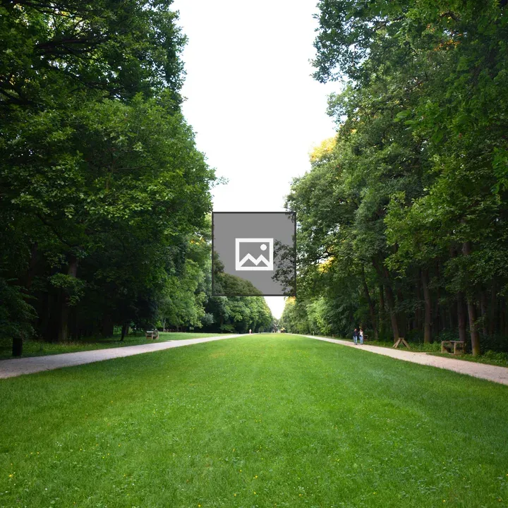 Lawn Carpet with Trees and Sky