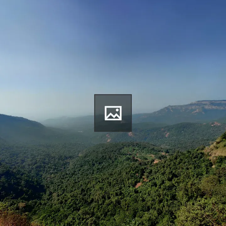 Forest covered mountain vista
