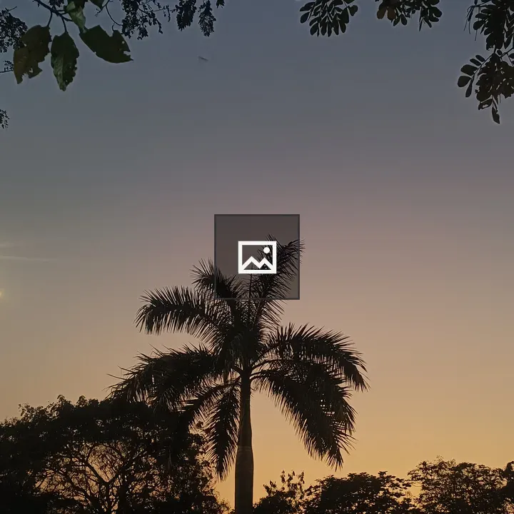 Palm Tree Silhouette at Sunset