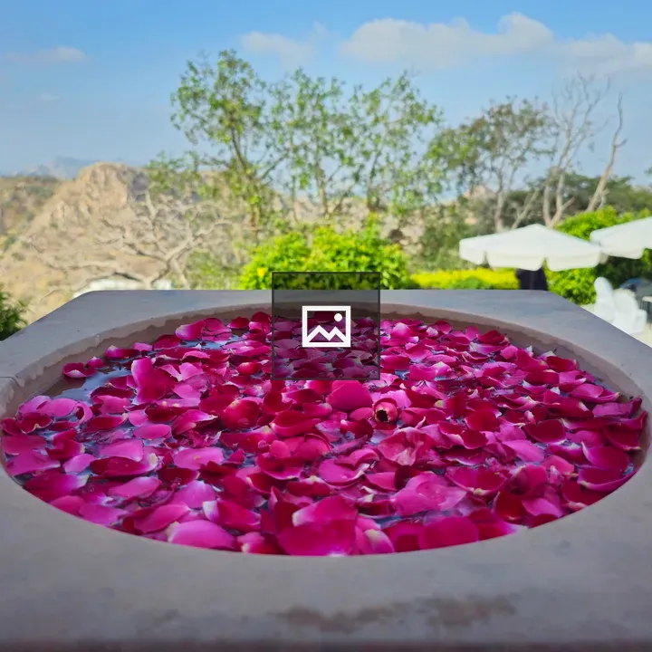 Round Stone Basin with Petals