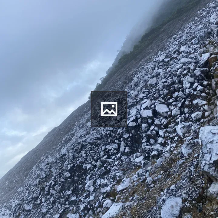 Rocky hillside with fog and greenery