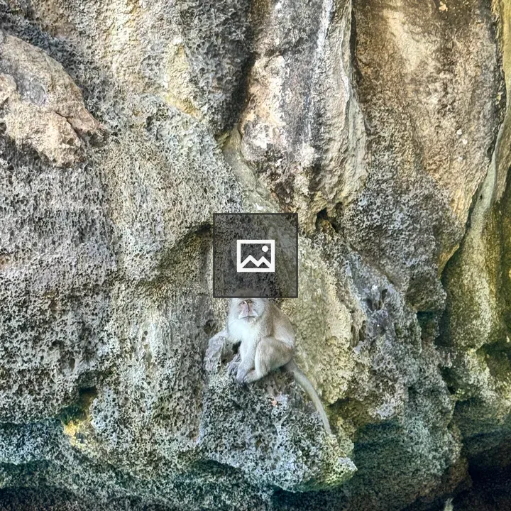 Small Grey Monkey on Cliff