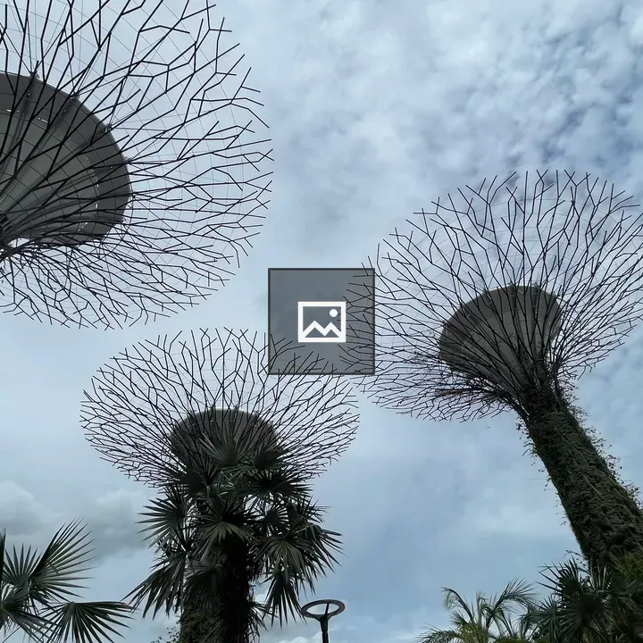 Gardens by the Bay scene