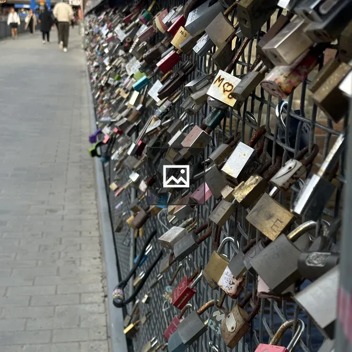 Locks on a Fence by a Bridge