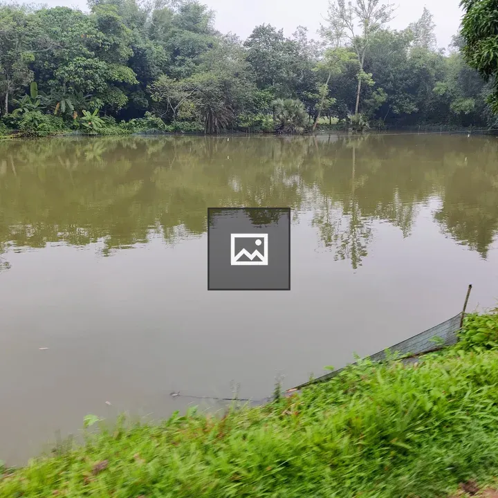 Old pond in village landscape