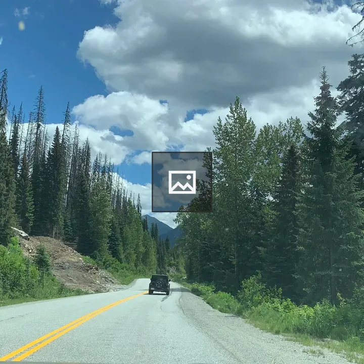 Road in Nature with Trees