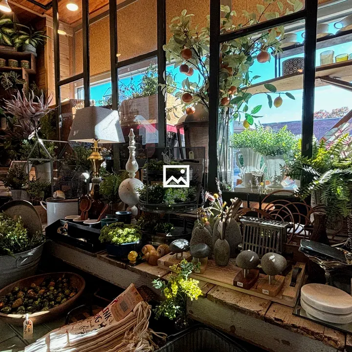 Front window display with earthy decor