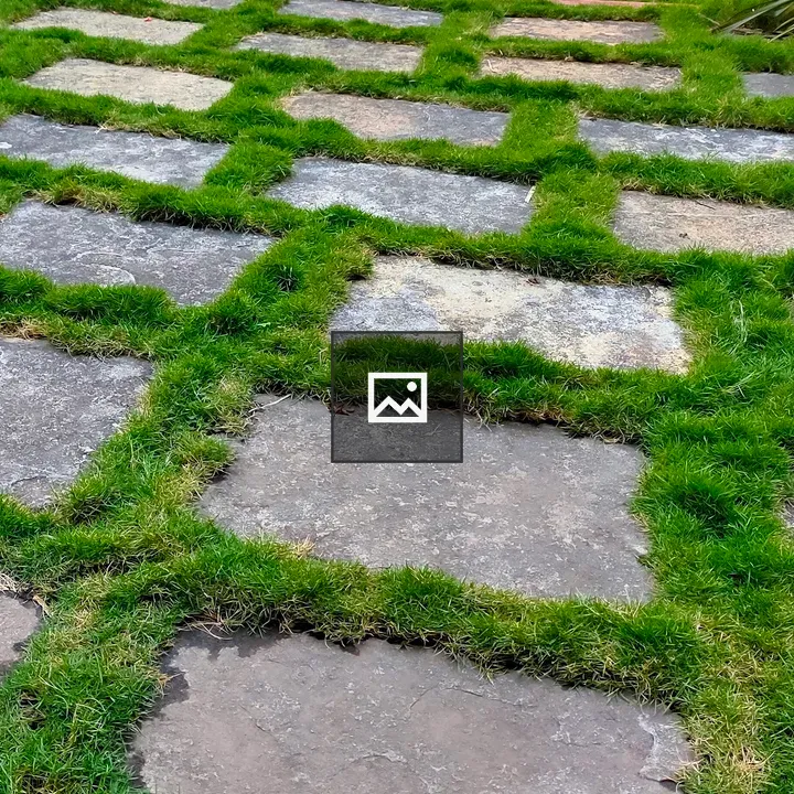 Patterned garden path with checkerboard pavers