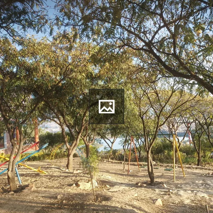 Playground under trees
