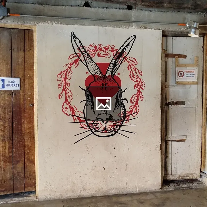 Rabbit Painted Wall in Bogotá