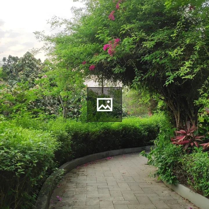 Way to Garden with Trees and Flowers