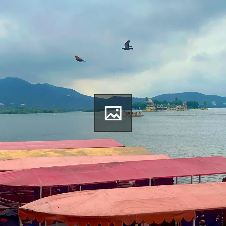 Serene lake with boats and birds