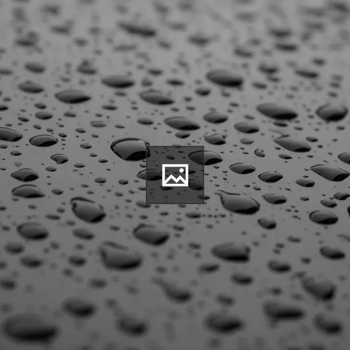 Water Droplets After Rain