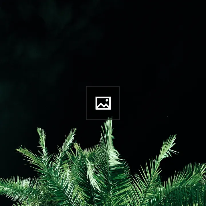 Palm Tree at Night