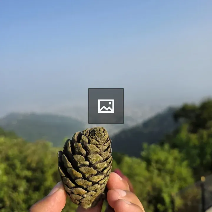 Hand Holding Pine Cone