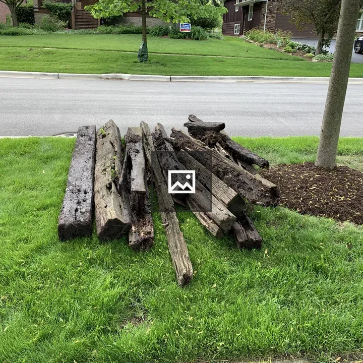 Decaying Railroad Ties by Grass