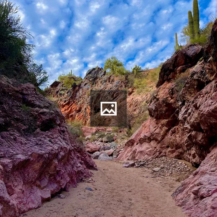 Desert alleyway with cactus