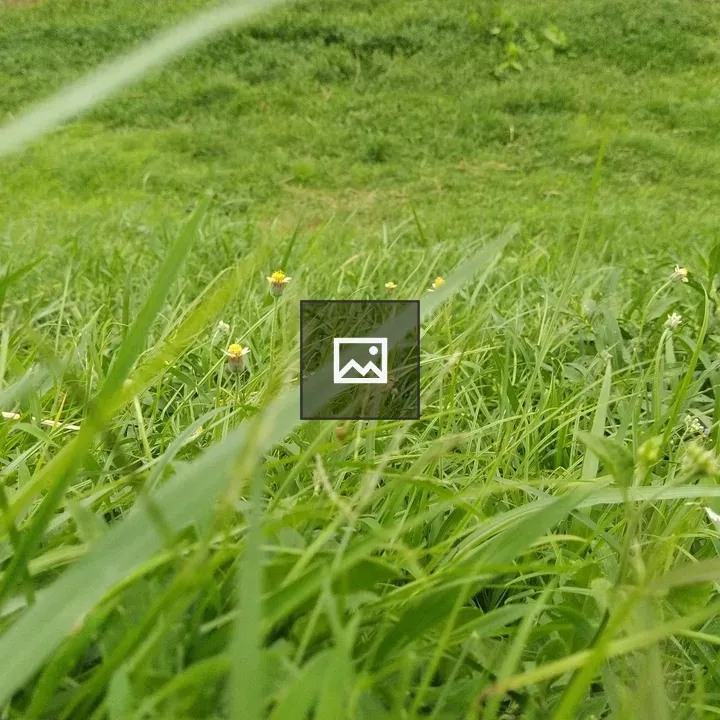 Grass and Hill in Field