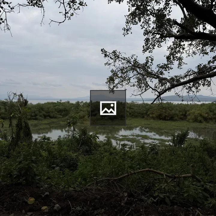 Tranquil landscape with water and trees