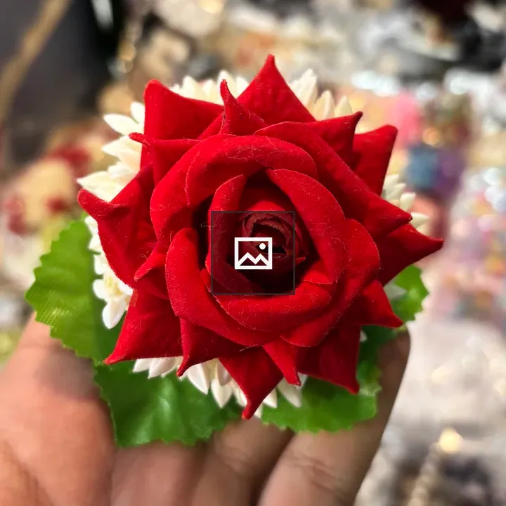 Hand with red rose