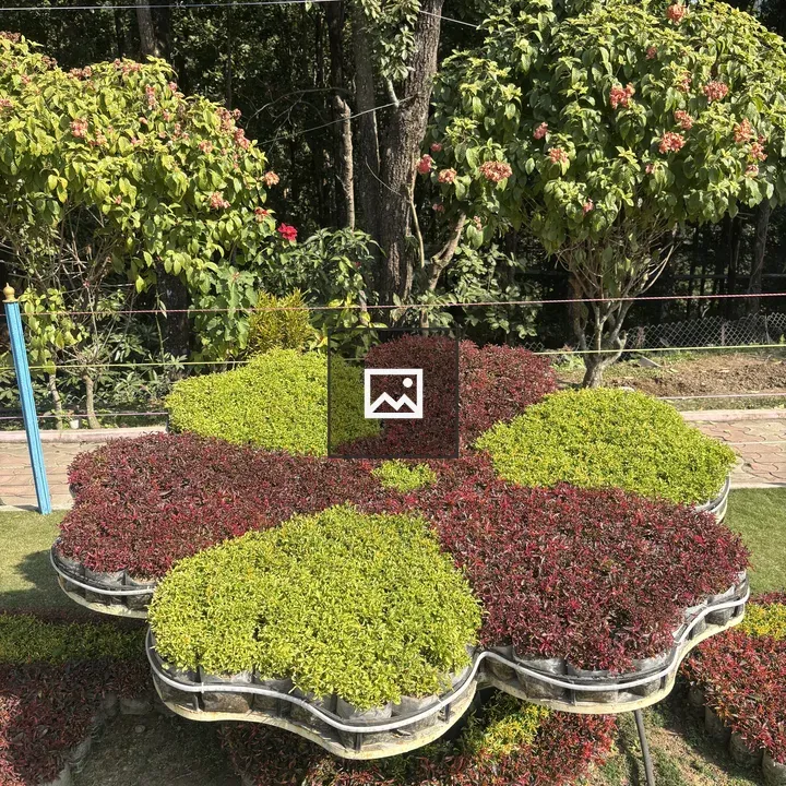 Floral arrangement plant flower shape
