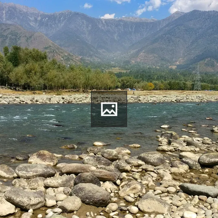 River with Stones and Trees