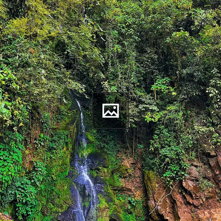 Waterfall with Foliage