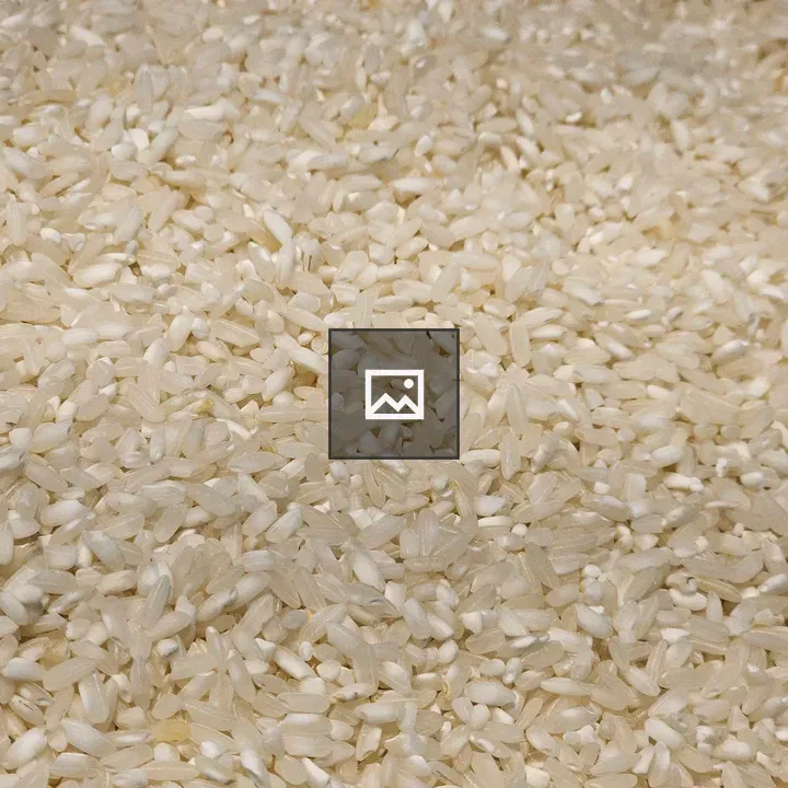 Rice grains in bulk