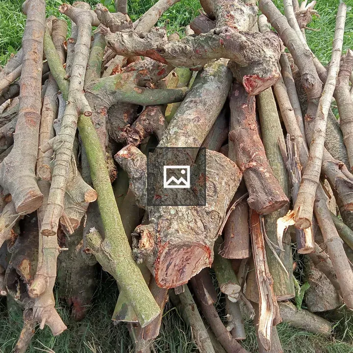 Pile of branches and logs