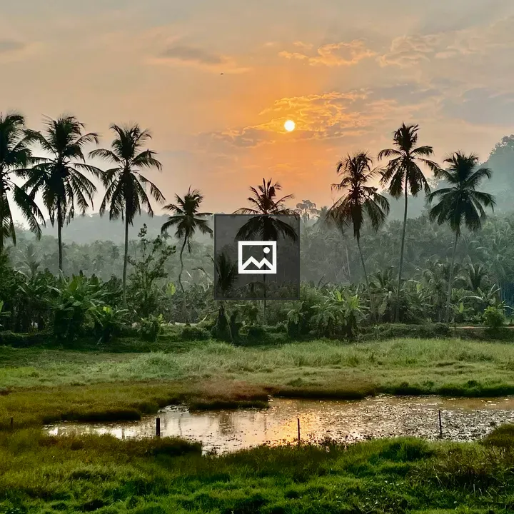 Sunrise Over Wet Fields