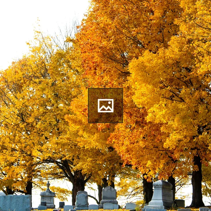 Autumn trees in a cemetery