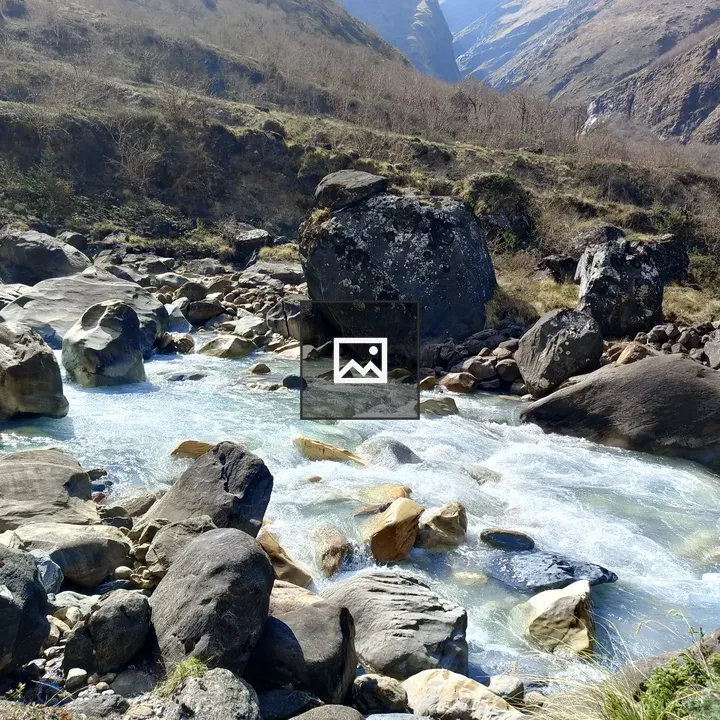 Tranquil Mountain Stream