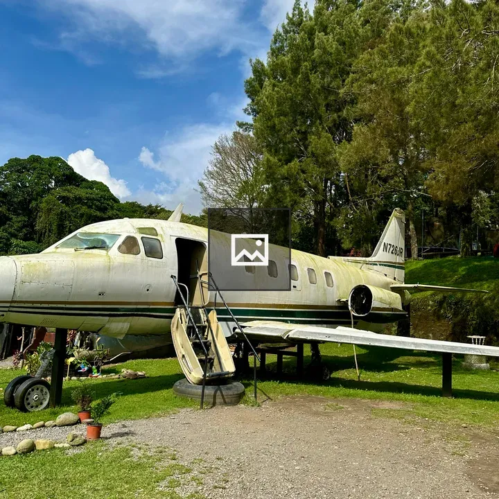 Old airplane among trees