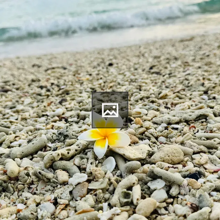 Frangipani on Coral Beach