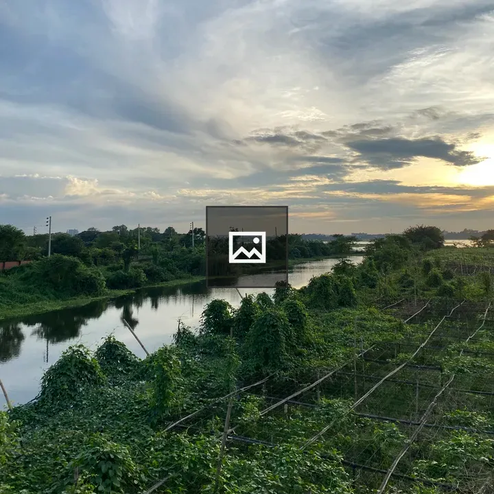 Winding river through lush greenery
