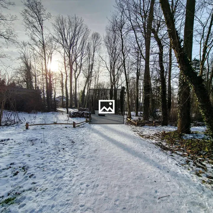 Snowy walking path in park